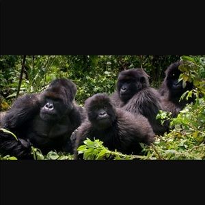 Meet your Posher, Jr